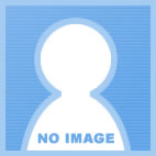 p2h331a